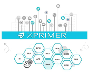 XPRIMER infografika300